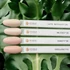 Kép 4/4 - Inveray gél lakk Dignity sz.50 (10ml)